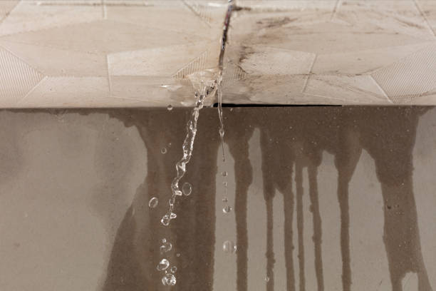 Professional Flood Damage Cleanup technician working in Westby, WI
